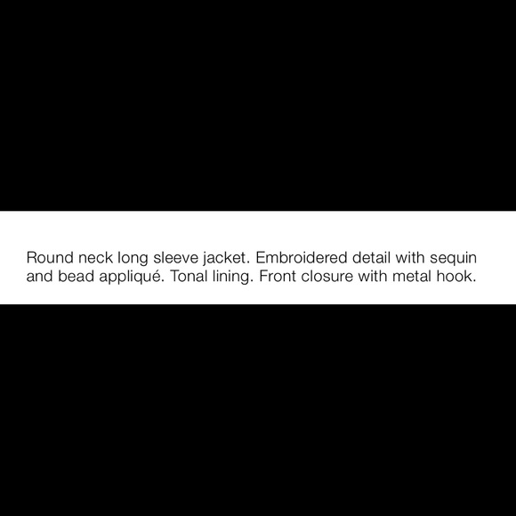 ZARA NWT LIMITED EDITION EMBROIDERED JACKET 🔥 - Picture 11 of 12